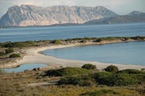 Bungalow Jasmin - 779218 img5