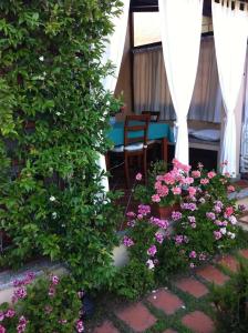 Bungalow Jasmin - 779218