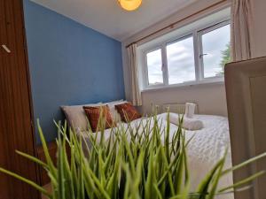 A spare room in a quite cul de sac