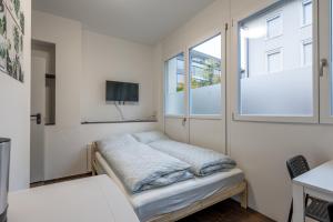 Mount Pilatus Rooms Lucerne