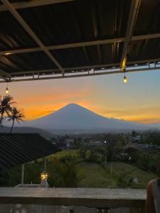 AMED LILI Private Room