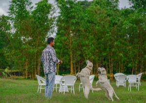 Kedara Resort Wayanad by VOYE HOMES - Pet Friendly with Pool