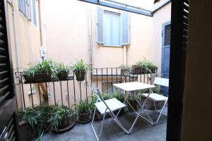 Bamboo Milan Brera FioriChiari