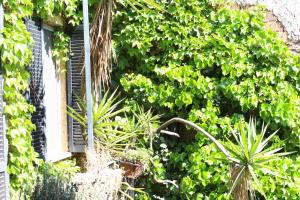 Bamboo Milan Brera FioriChiari