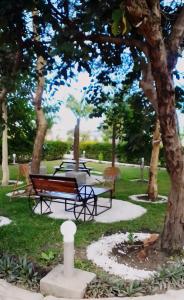 Palm Mallows lodge and apartments