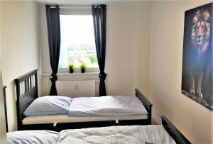 Work and Stay Apartment Balcony