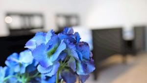 Work and Stay Apartment Balcony