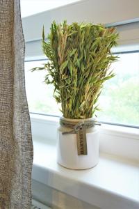 Work and Stay Apartment Centrum