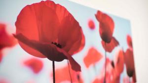 Work and Stay Apartment Balcony