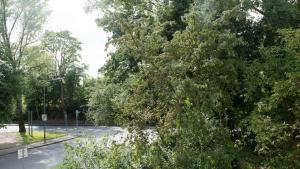 Work and Stay Apartment Balcony