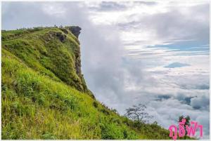 เอวาเฮ้าส์ ภูชี้ฟ้า avahouse phuchifa