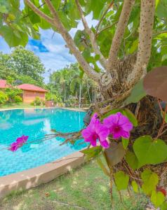 The Green Oasis Resort