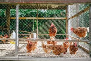 Cyngam Retreat- A private pool villa with service