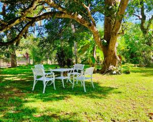 Peace Villa - Homestay