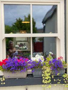 Cashel town house 4 bed