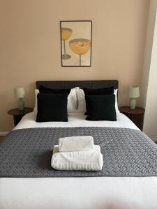 Swanky two bedroom flat with balcony near swiss cottage and regents park