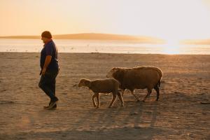 Sensiri Orca Beach Villa