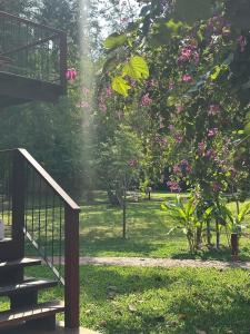 Nachan The Antique Courtyard