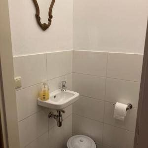 Vakantiewoningen de schapenweide