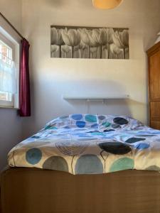 Vakantiewoningen de schapenweide