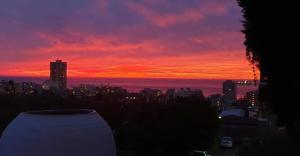 A stunning one bedroom outside Vibe to the Max