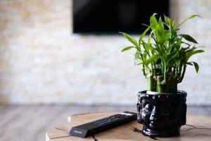 Nature Terminal Apartment