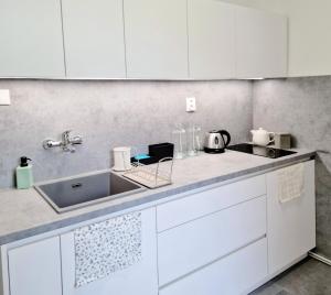 Princ next to President Palace