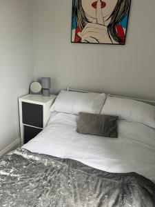 Beautiful Belfast House beside CS LewisSquare