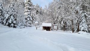 Apartmán za Holubnicou