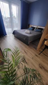 Apartament - Sienkiewicza 22D