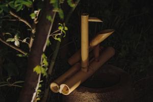 Wabi-Sabi historic home - walk to the lake