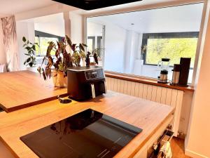 Le Paisible - Duplex 5 pers, Parking, Terrasse et Vue lac
