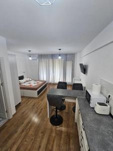 Studio triplu Saturn nr 2