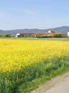 Fienile Paradiso Home Tuscany