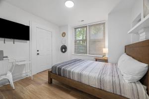 Pittsburgh Shadyside 1E Bright and Modern Private Bedroom with Shared Bathroom