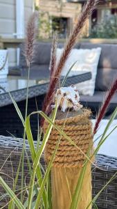 Chalet JT08 in Renesse