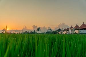 Pondok di Uma Villa Ubud
