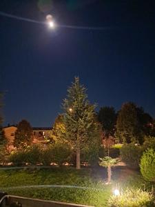 appartamento quadrifoglio