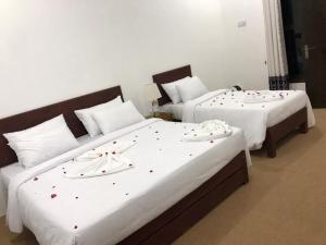 Infinity Nature Resort