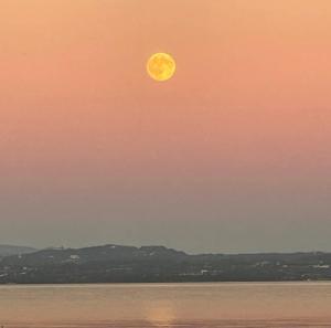 Appartamento la Fenice