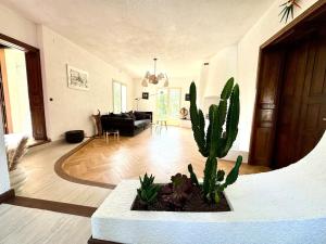 Villa atypique avec piscine 12x6 4 chambres pour 9 personnes proche Golf dans parc arbore
