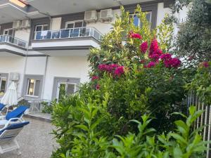 Begonvil Garden Apart