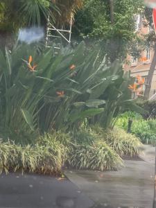 Paris in East Melbourne