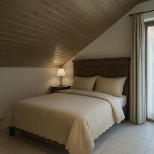 Ξενώνας Θεοδώρου