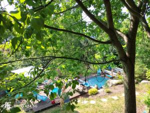 Chalet luxe 12 personnes SPA SAUNA VOSGES-GERARDMER