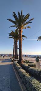 Apartamento Solárium