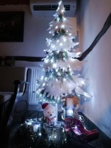 Каменната къща