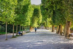 201 - Charmant studio jardins des plantes -Paris 5