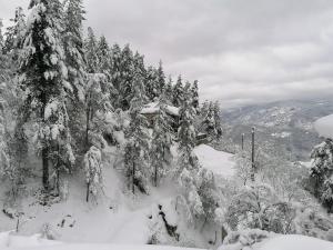 Каменната къща