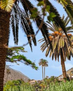 La Maestra Apartment